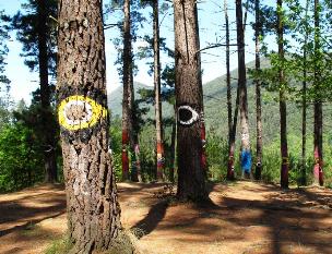 El bosque de Oma está situado a 8 km de Gernika